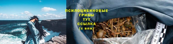 мескалин Няндома
