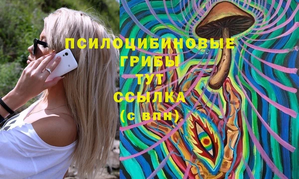 дмт Нягань