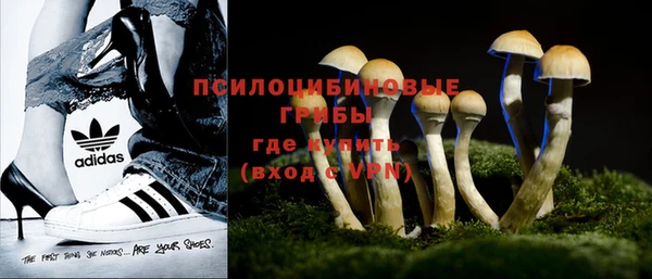 дмт Нягань