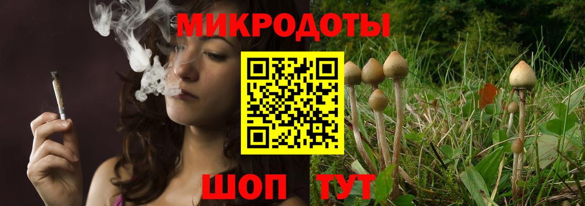 Клин  Псилоцибиновые грибы Psilocybe  Вход с VPN 
